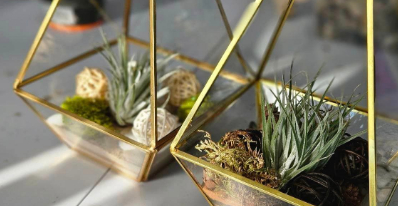 Atelier de création de terrarium