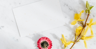 Fabrication de papier artisanal avec des fleurs séchées