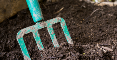 Journée de l'environnement et distribution de compost
