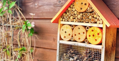 Hôtel à insectes