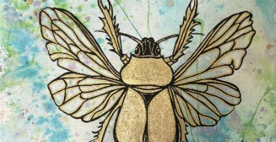 Rencontre avec l'artiste - Ma collection de p'tites bibittes rares