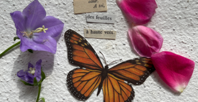 Collage sur papier ensemencé