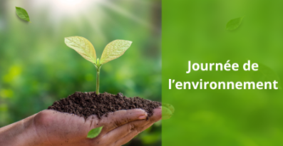 Journée de l'environnement | Distribution de compost et de paillis