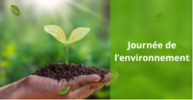 Journée de l'environnement | Distribution de compost et de paillis