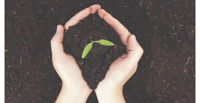 Distribution de compost
