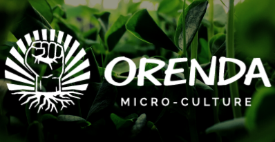 Atelier micropousses et germinations