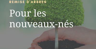Remise d'arbres pour les nouveau-nés