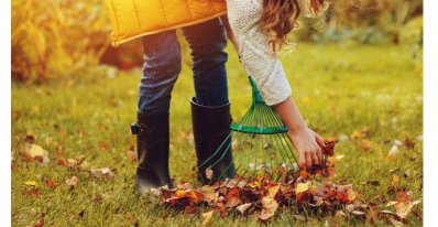 Collecte spéciale des matières organiques (gazon et feuilles) - TOUS LES SECTEURS