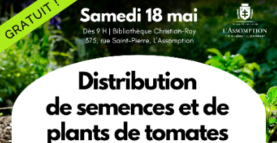 Distribution de semences et de plants de tomates